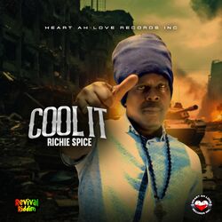 Cover of Cool It