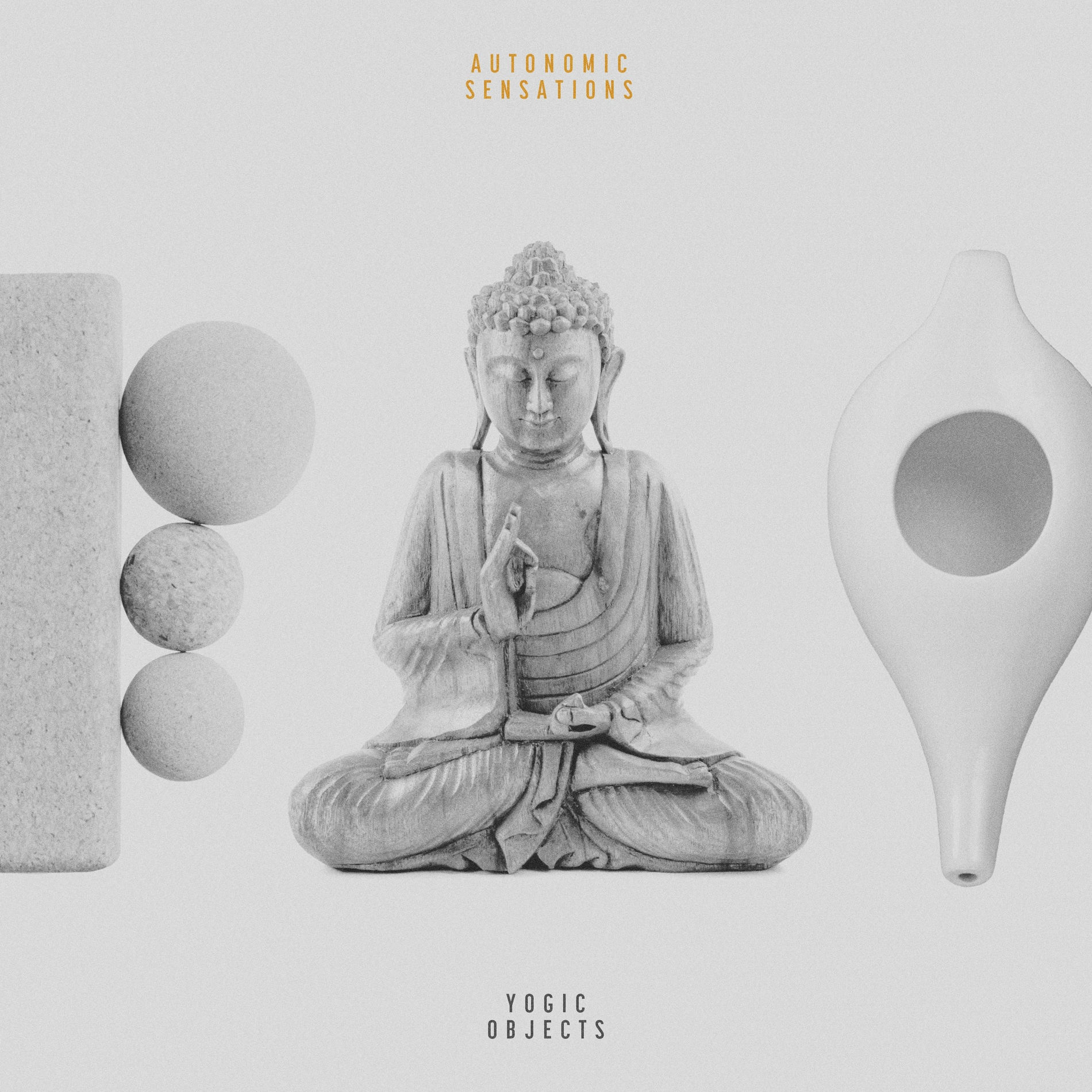 Album cover of ASMR Neti Pots