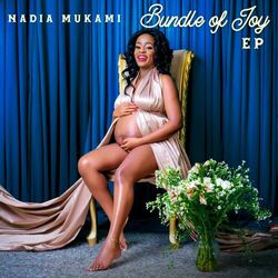 Cover of Bundle of Joy