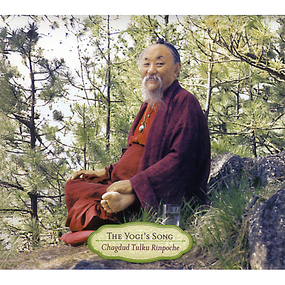 Album cover of The Yogi's Song