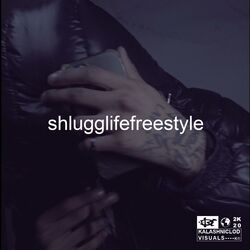 Cover of shlugglife (freestyle)