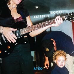 Cover of Battered Roots