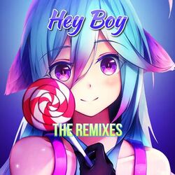 Cover of Hey Boy The Remixes