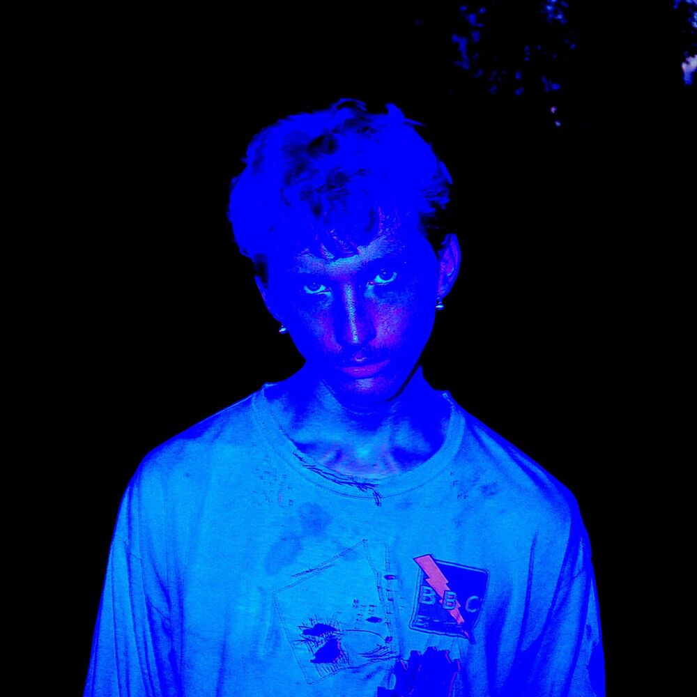 Picture of Blue Skin