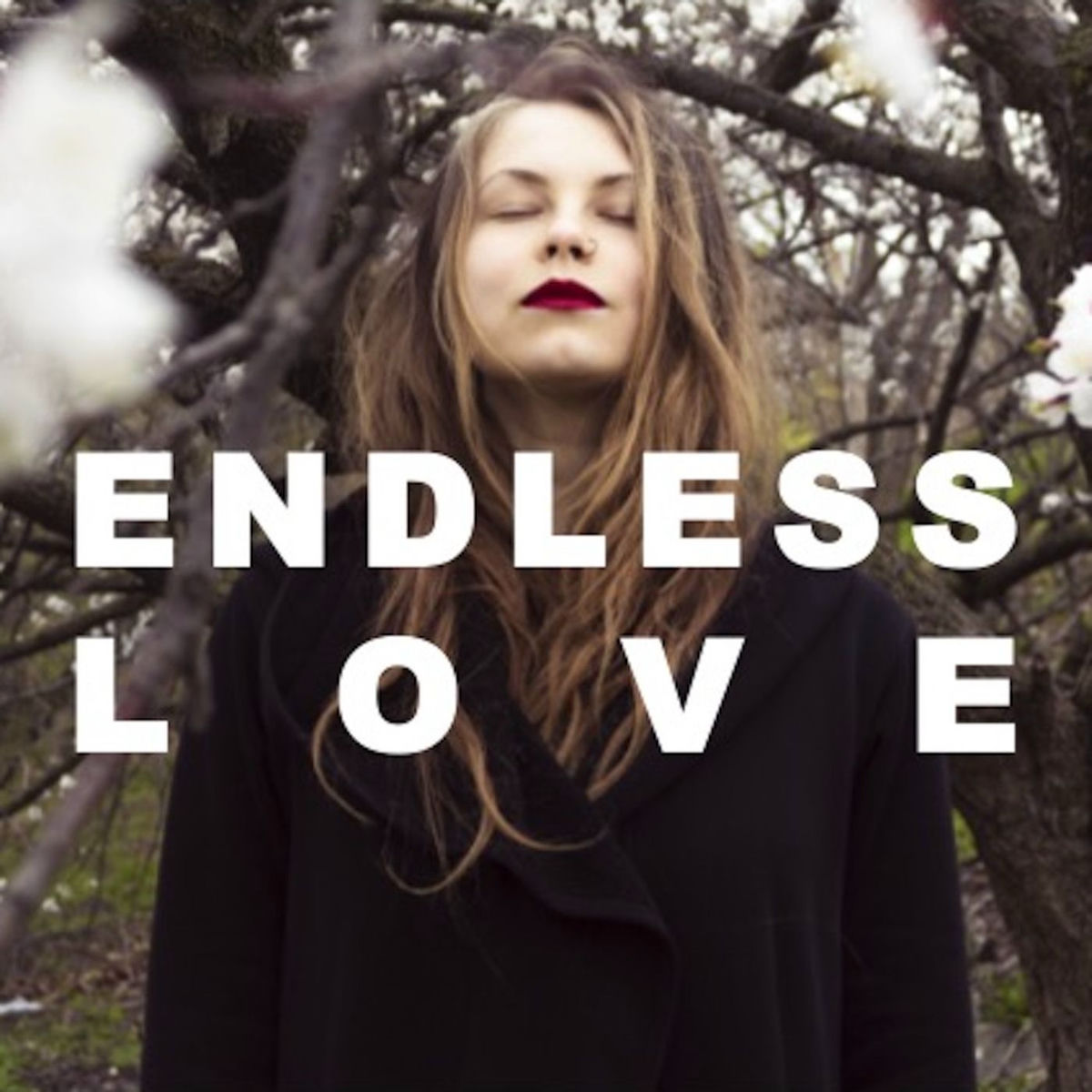Album cover of Endless Love: A Decade of Hits