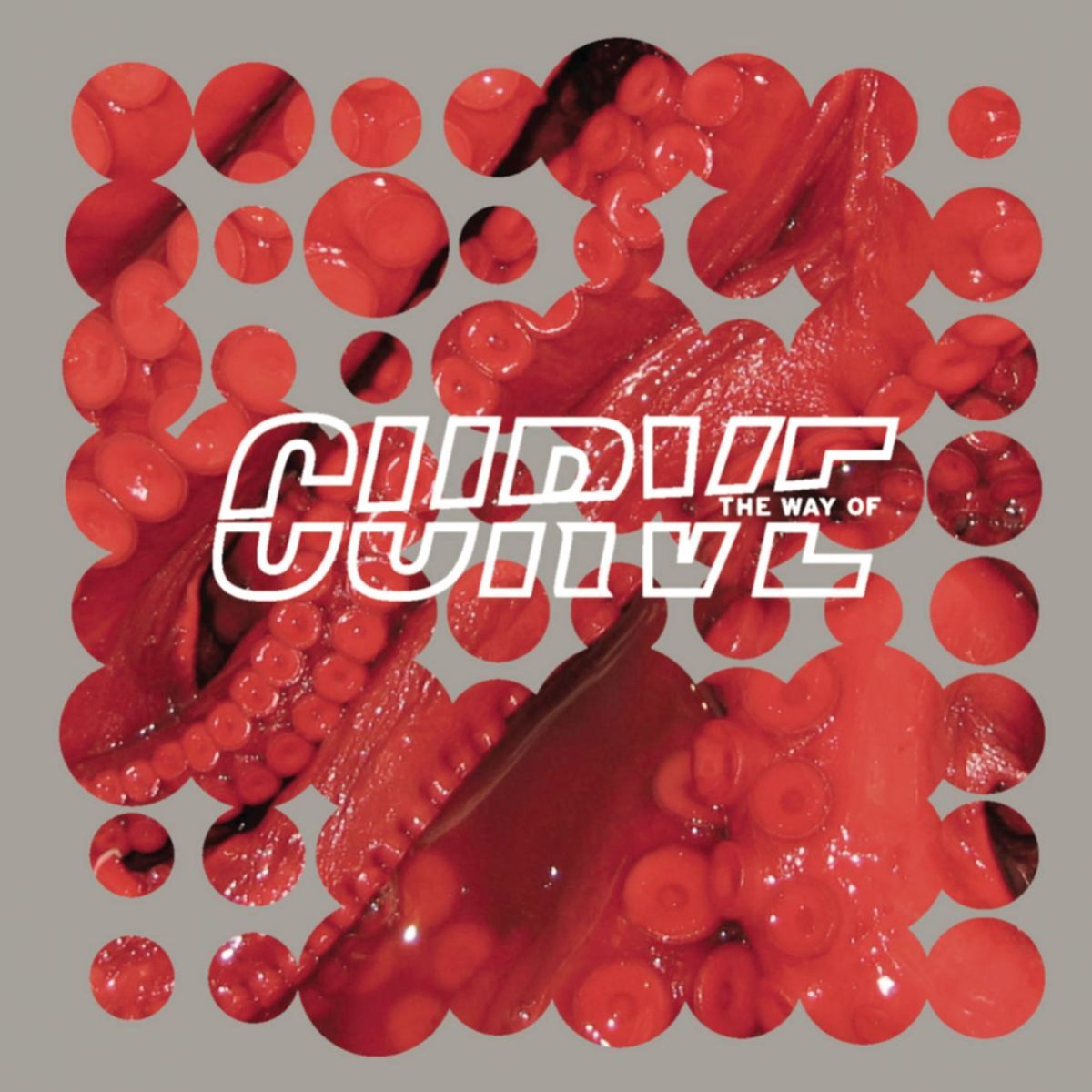 Album cover of Recovery