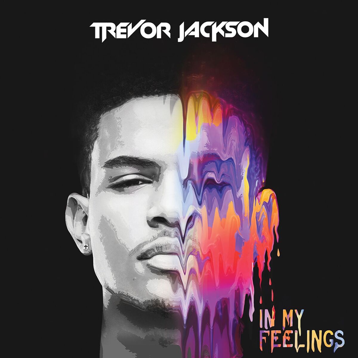 Album cover of In My Feelings