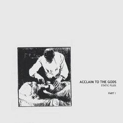 Cover of Static Flux [Part I]