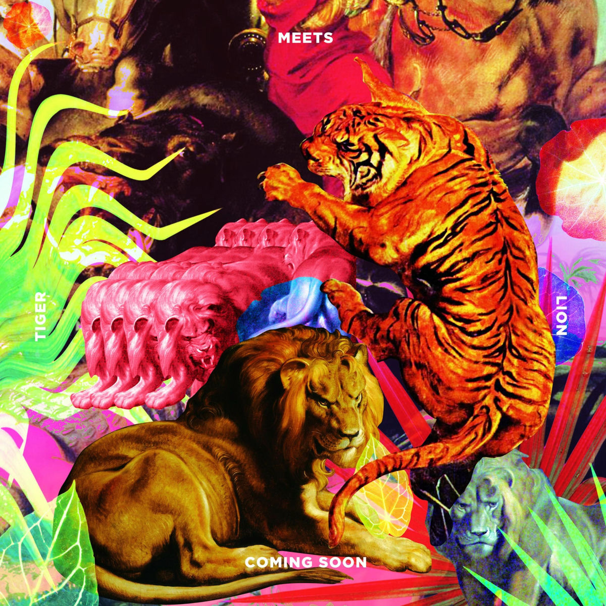 Album cover of Tiger Meets Lion