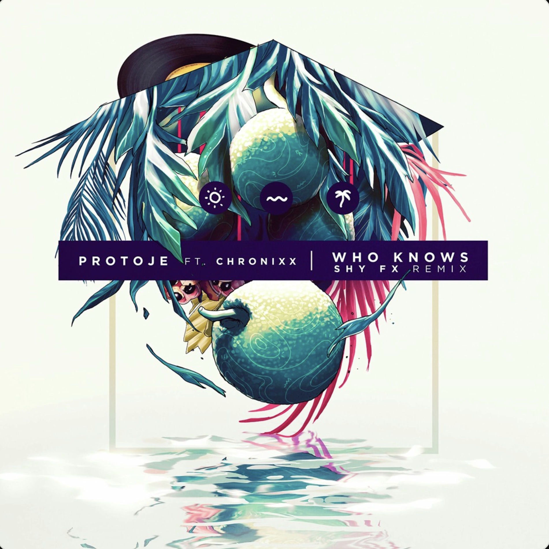 Album cover of Who Knows (SHY FX Remix)