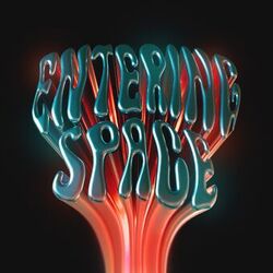 Cover of Entering Space
