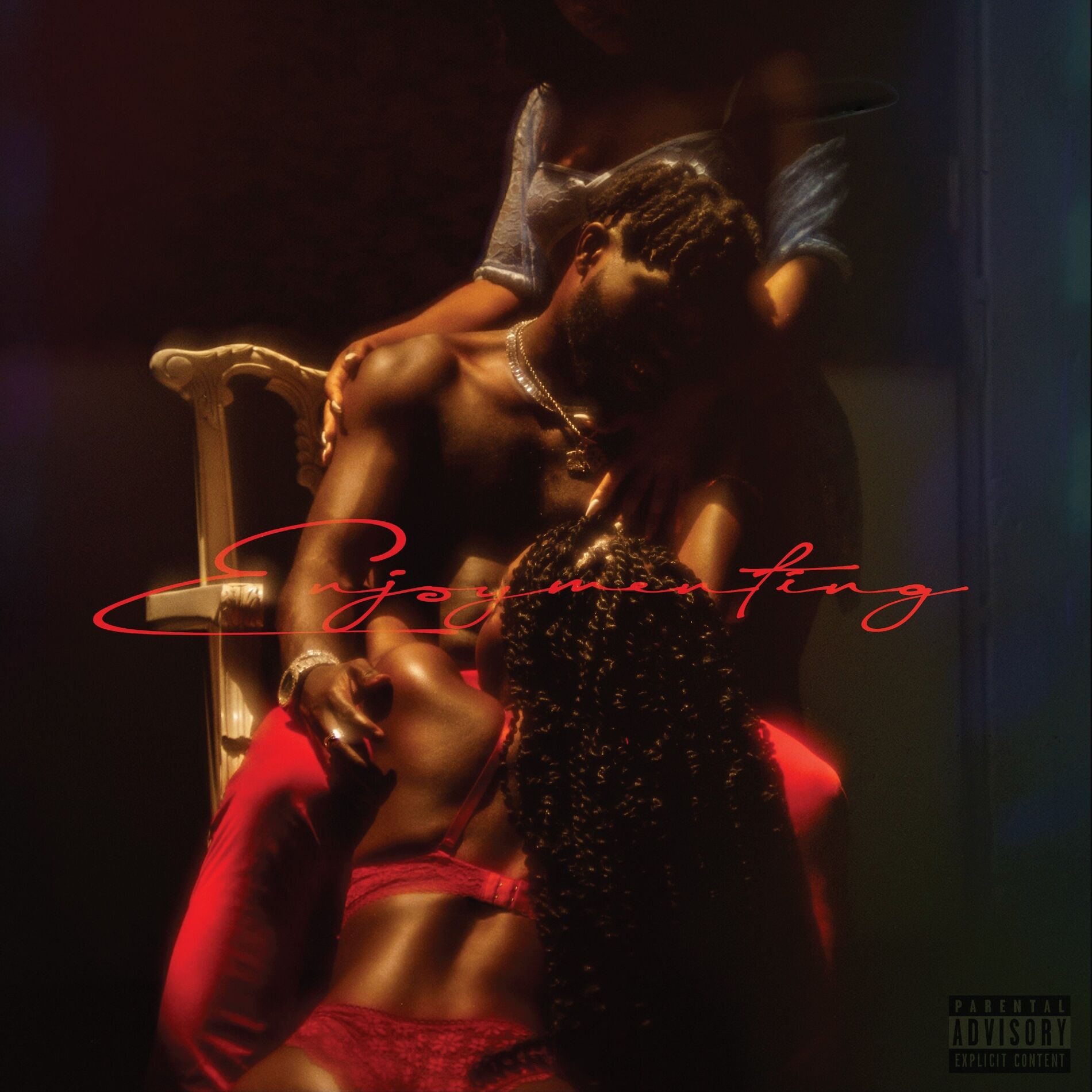 Album cover of Enjoymenting