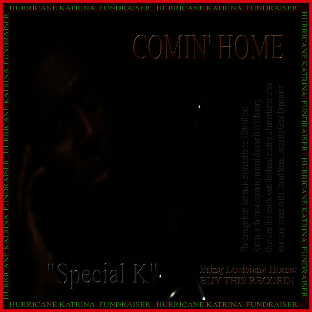 Picture of Coming Home