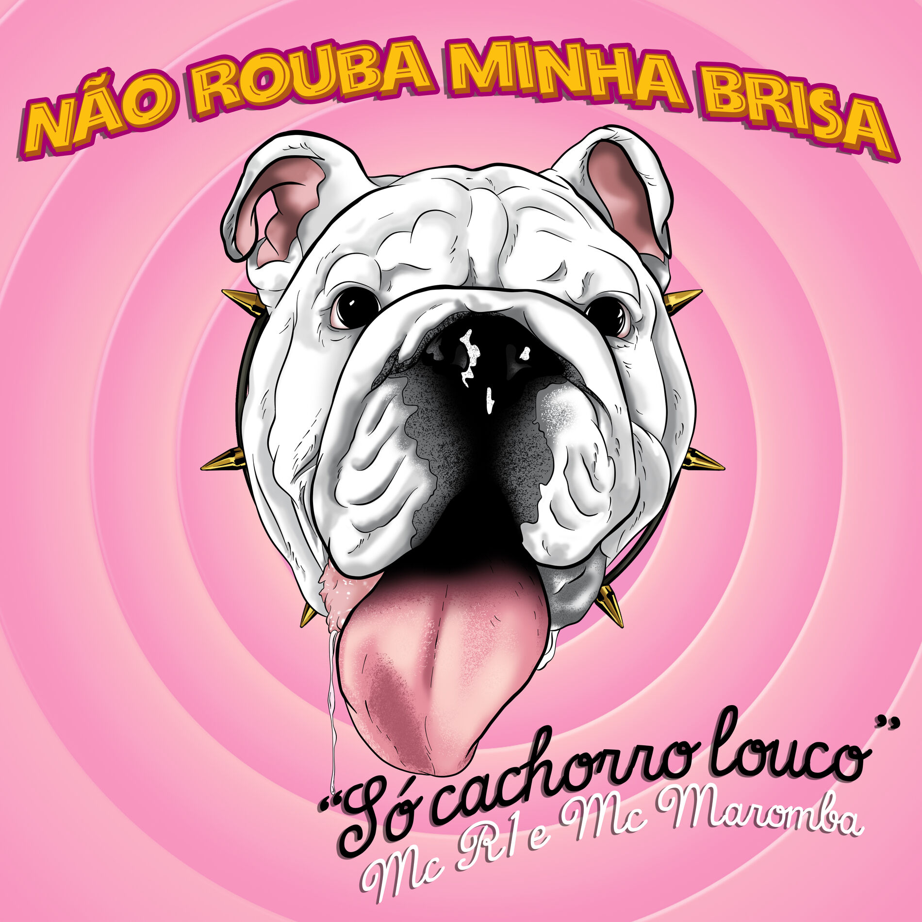 Album cover of Não Rouba Minha Brisa: Só Cachorro Louco