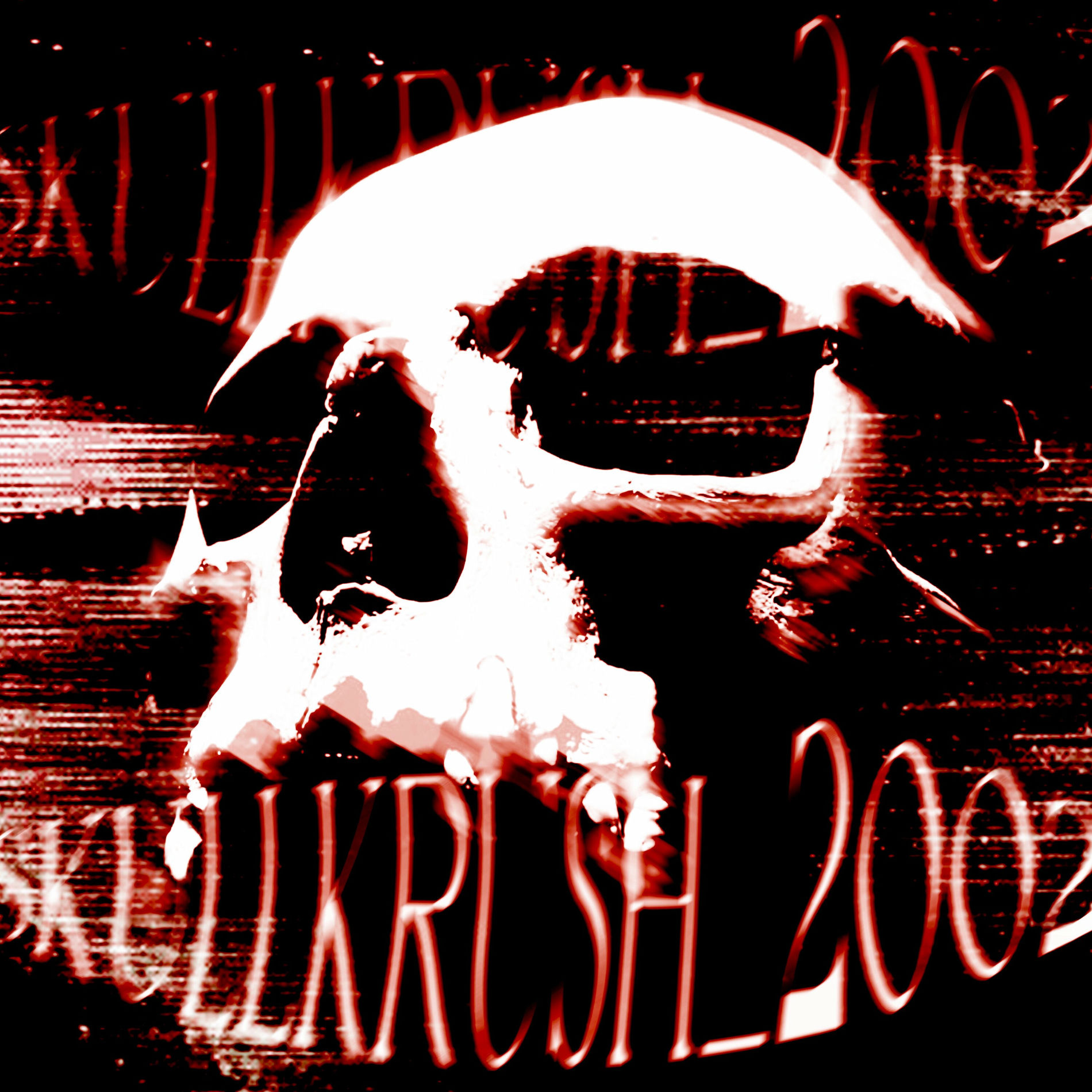 Album cover of SKULLKRUSH_2002
