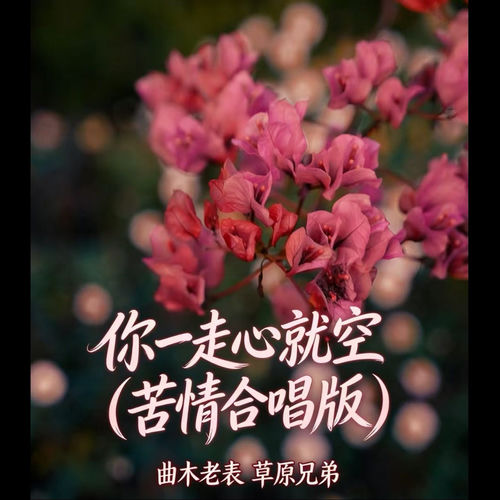 你一走心就空 (苦情合唱版)