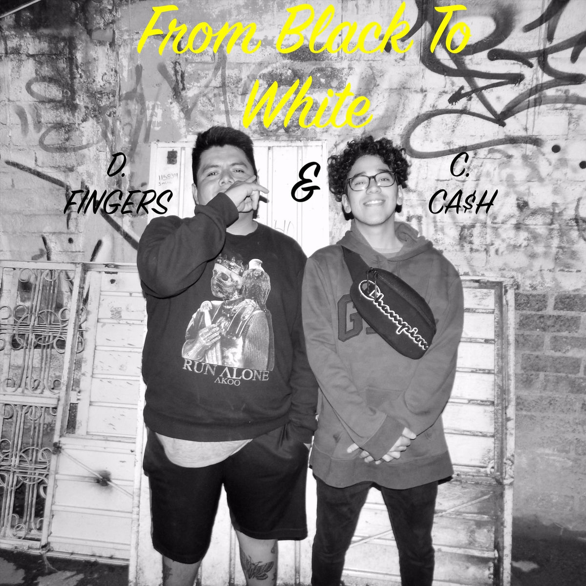 Album cover of From Black to White