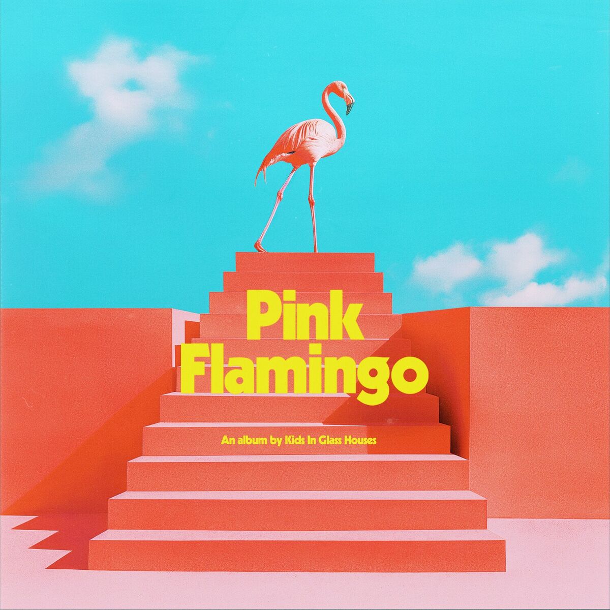 Album cover of Pink Flamingo