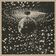 Peace and Love by Neil Young album cover