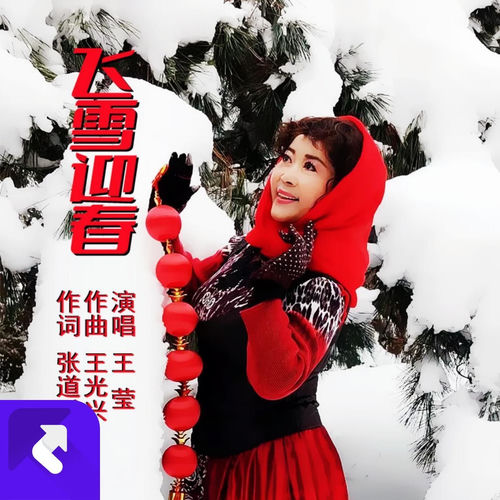 飞雪迎春