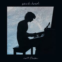 Cover of not them