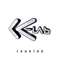 Cover of Reunion