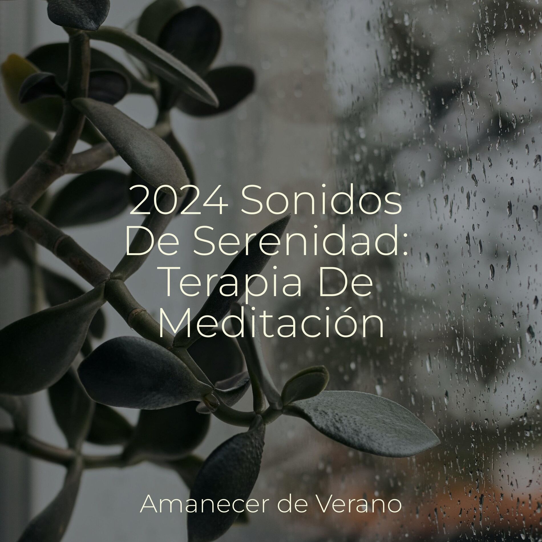 Album cover of 2024 Sonidos De Serenidad: Terapia De Meditación