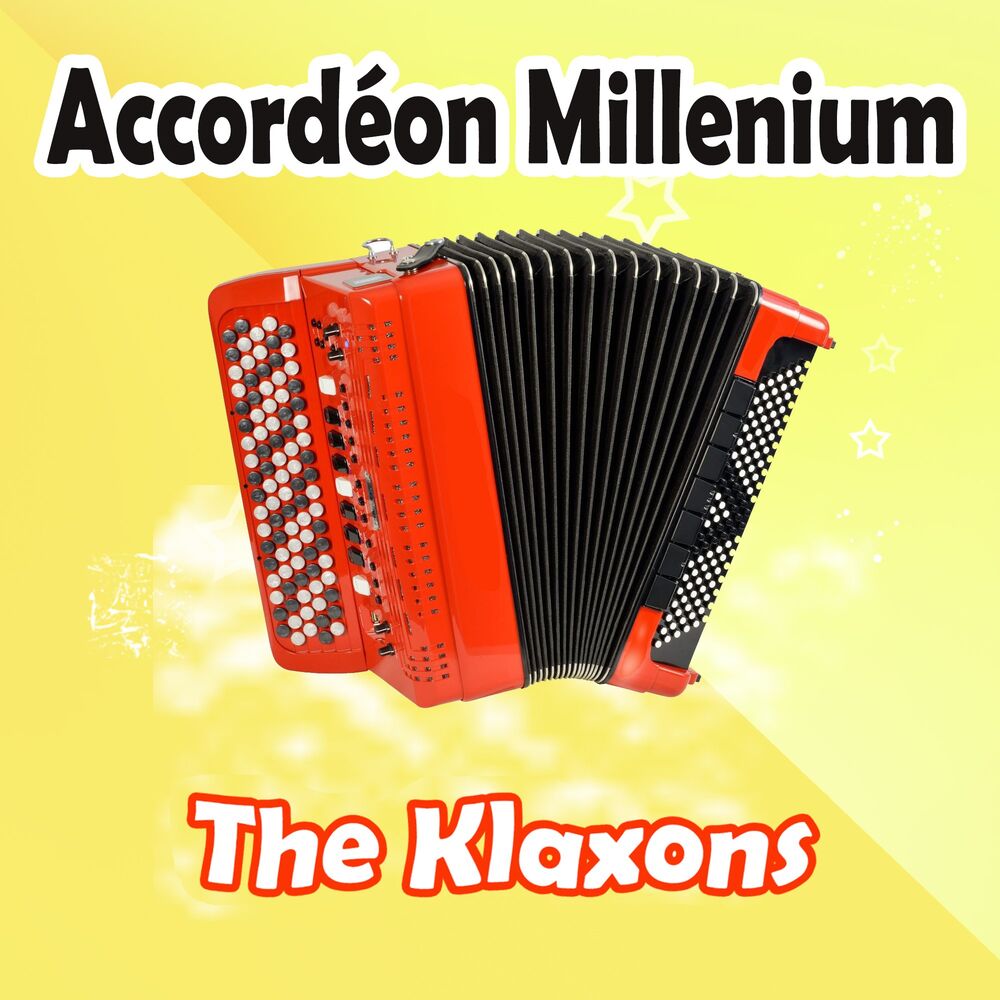 Picture of Accordéon Millenium