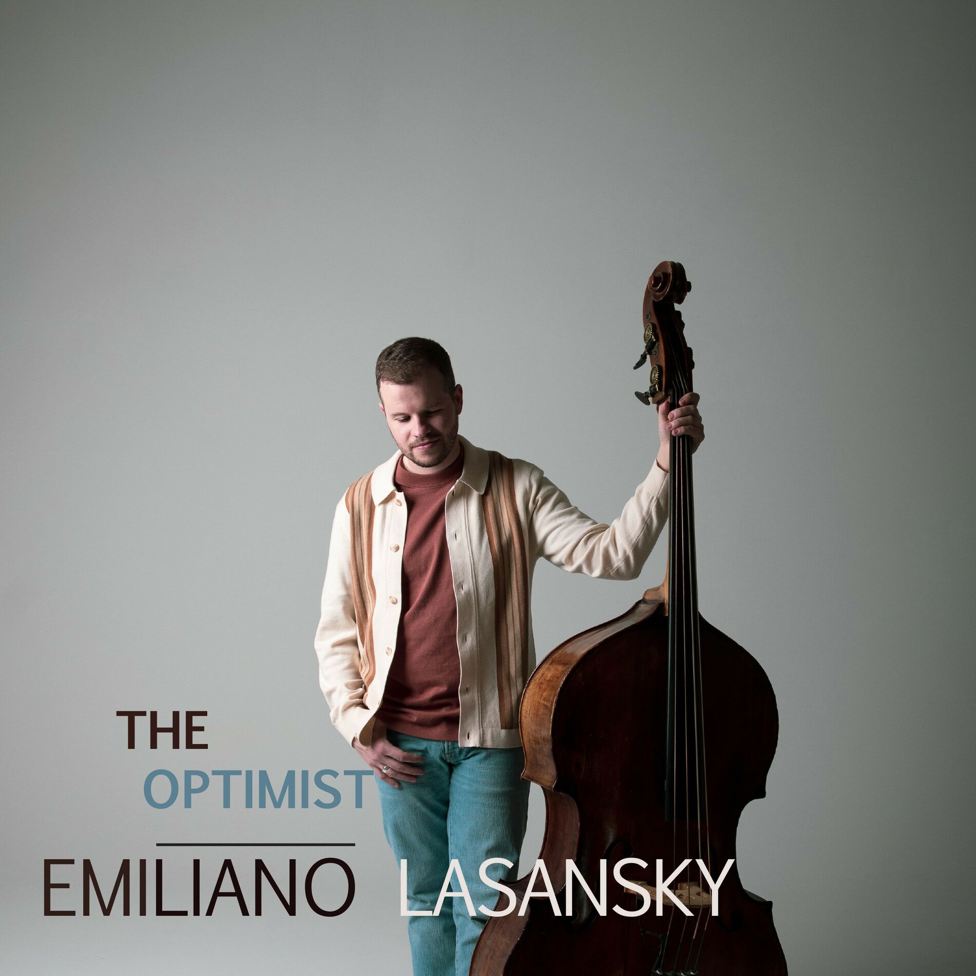 Album cover of The Optimist