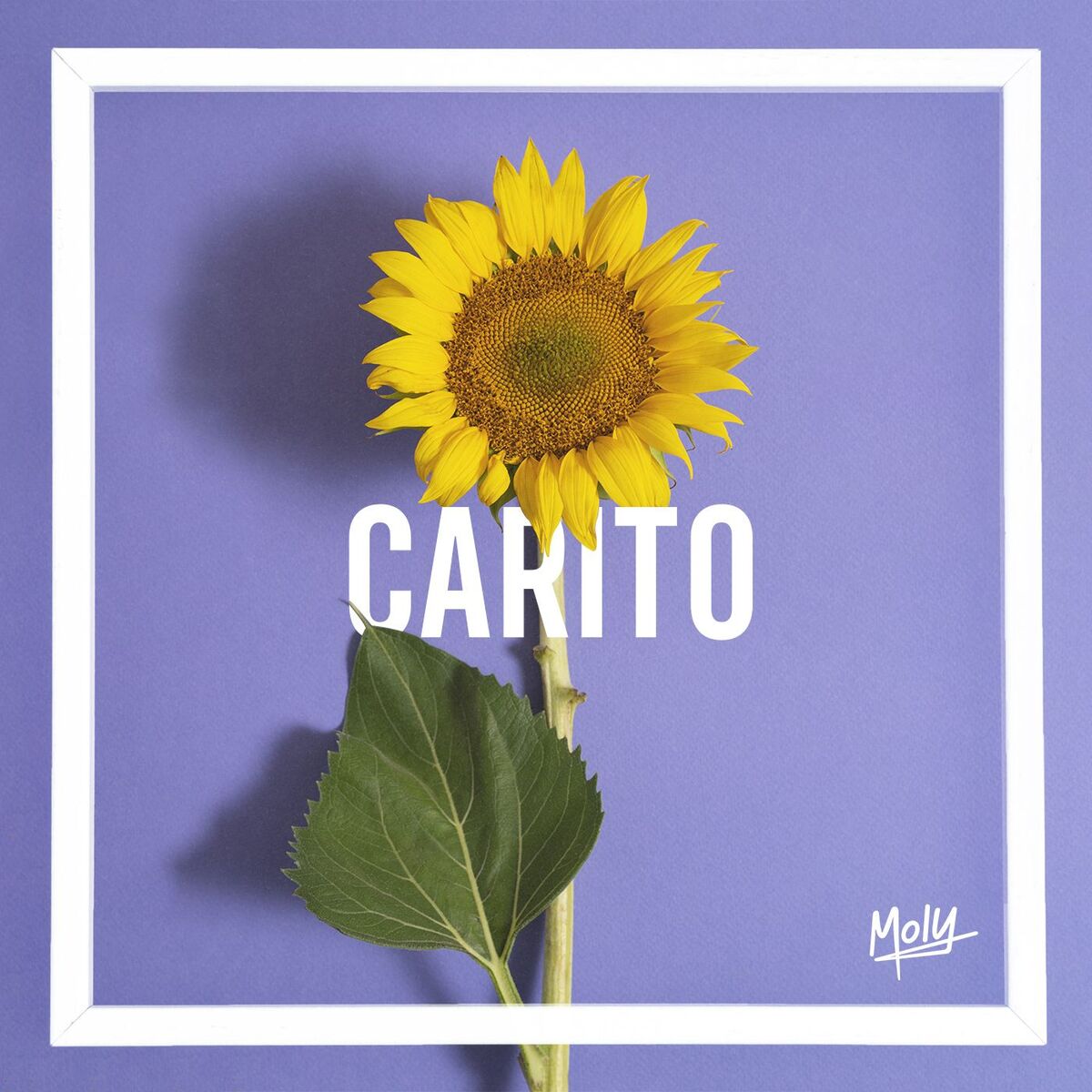 Album cover of Carito