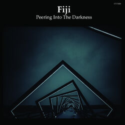 Cover of Peering Into The Darkness
