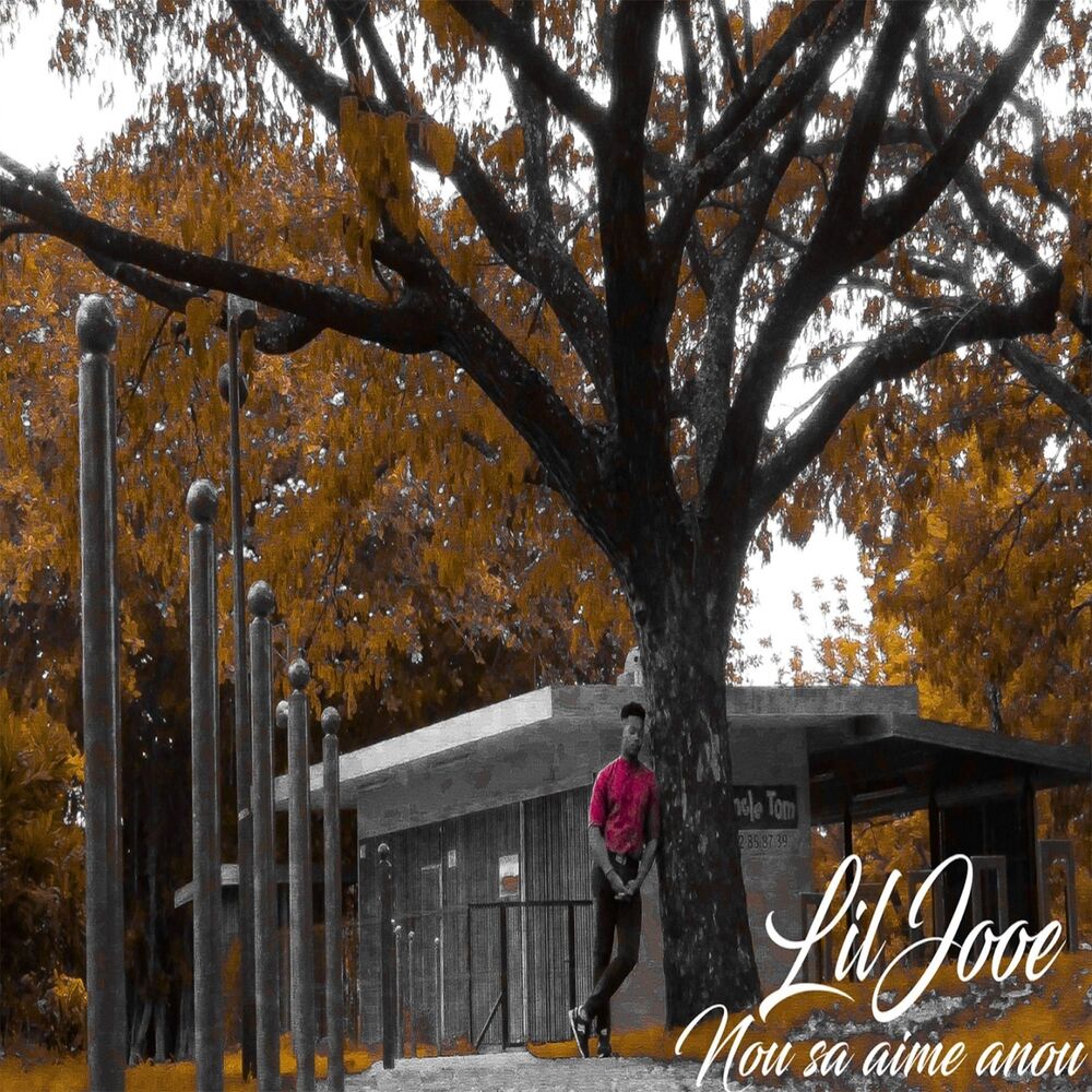 Picture of Nou sa aime anou