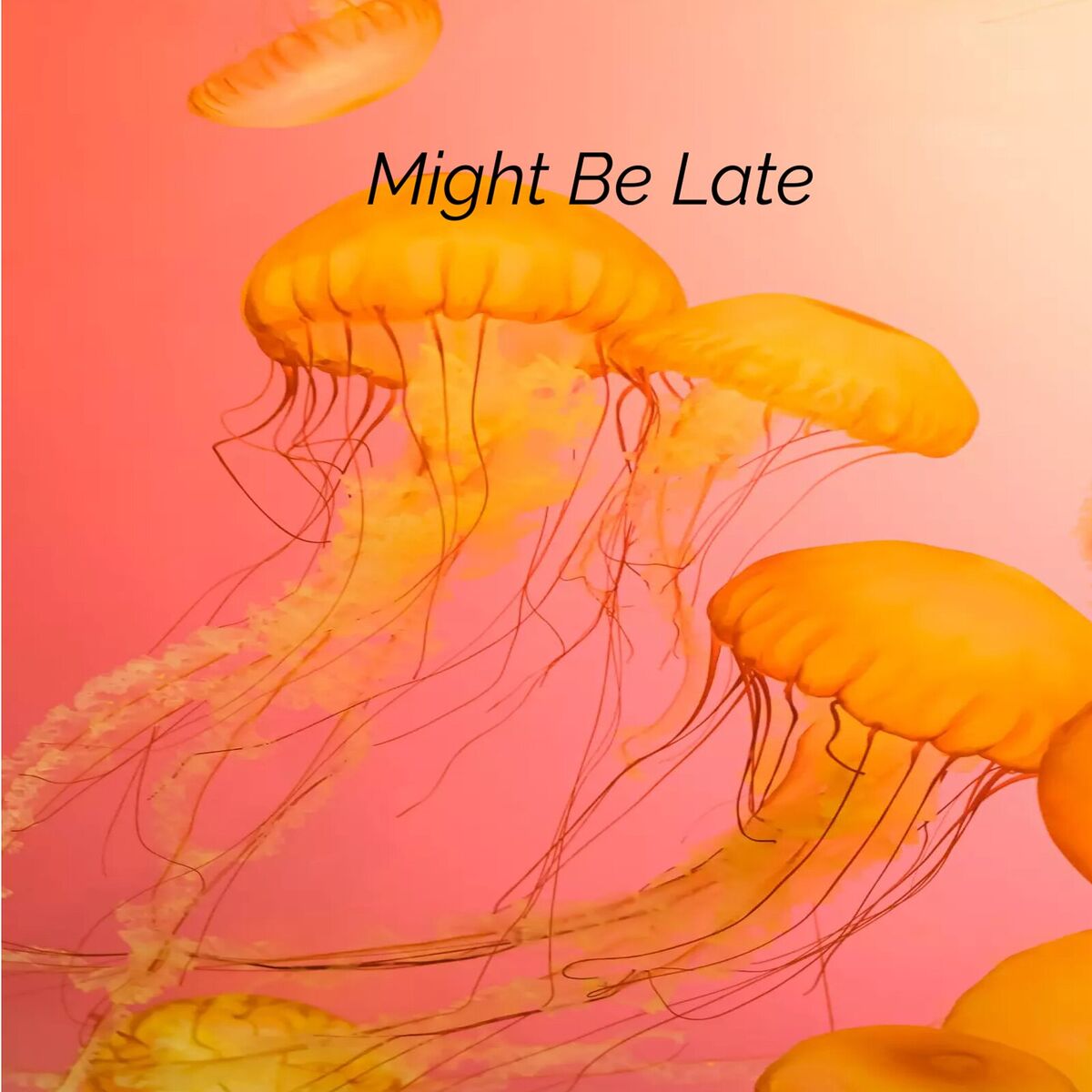 Album cover of Might Be Late