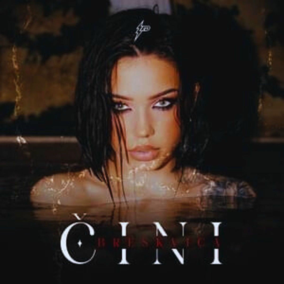 Album cover of Cini