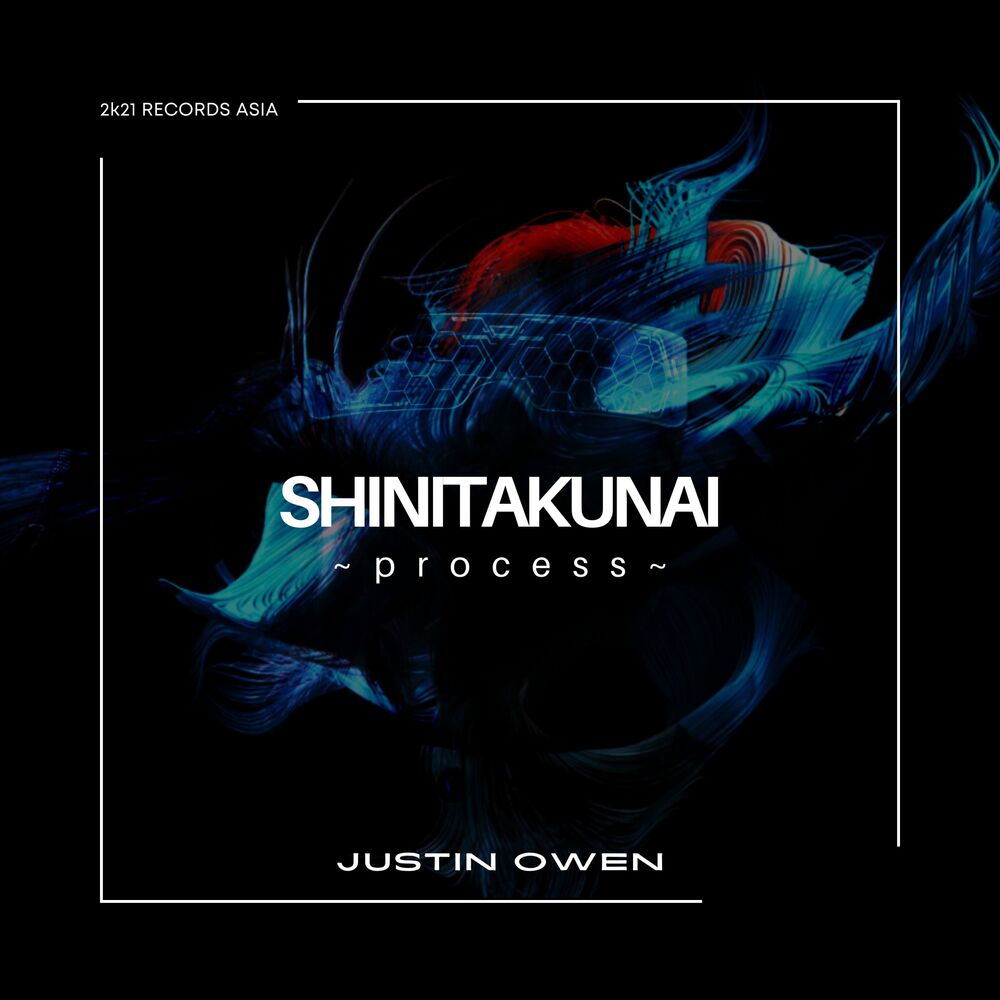Picture of SHINITAKUNAI ~Process~