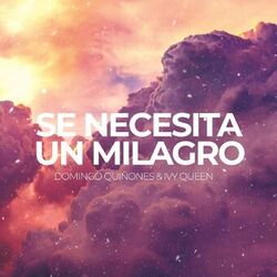 Cover of Se Necesita un Milagro