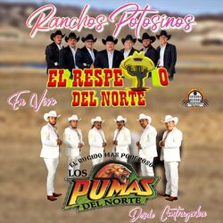 Cover of Ranchos Potosinos Desde Contrayerba (En Vivo)