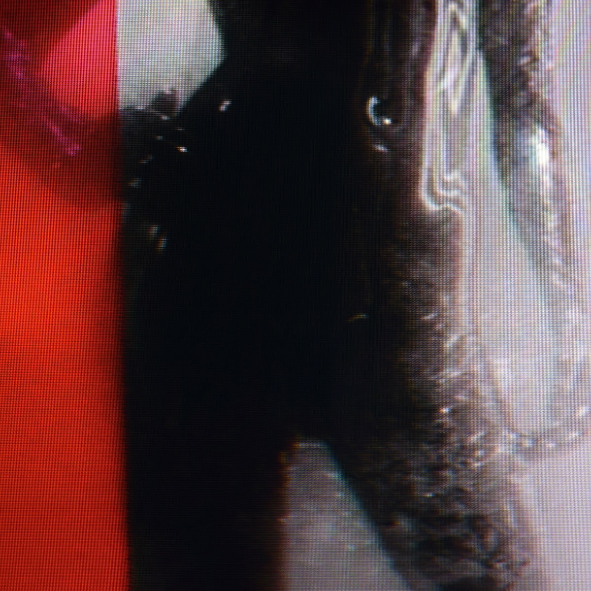 Album cover of You Disco I Freak