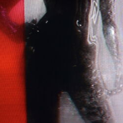 Cover of You Disco I Freak