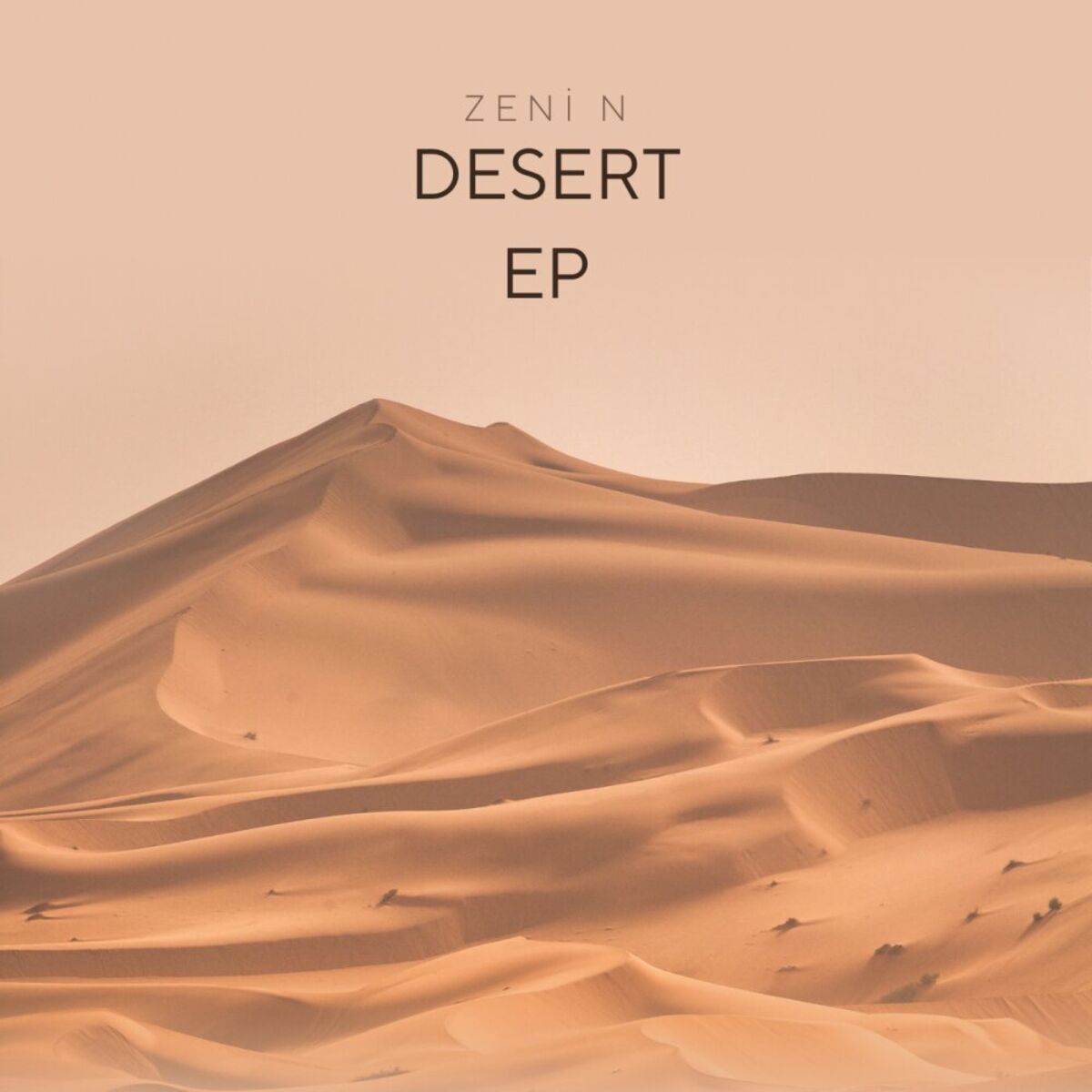 Album cover of Desert