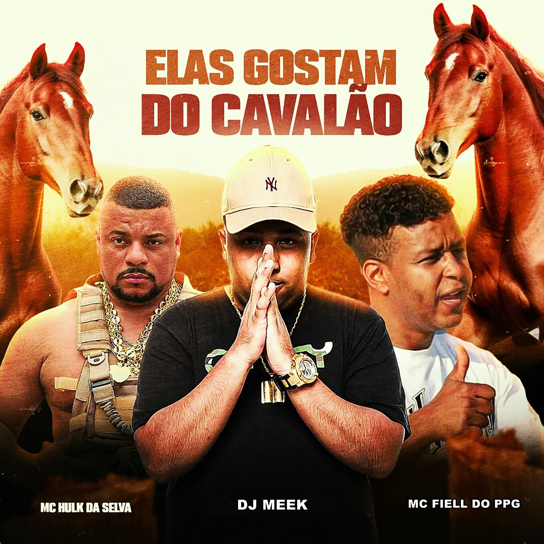 Album cover of Elas Gostam do Cavalão