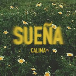 Cover of Sueña