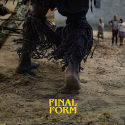Cover of Final Form