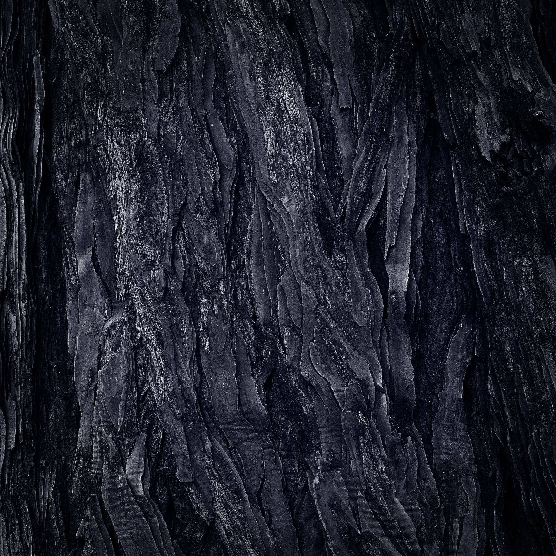Album cover of Wald
