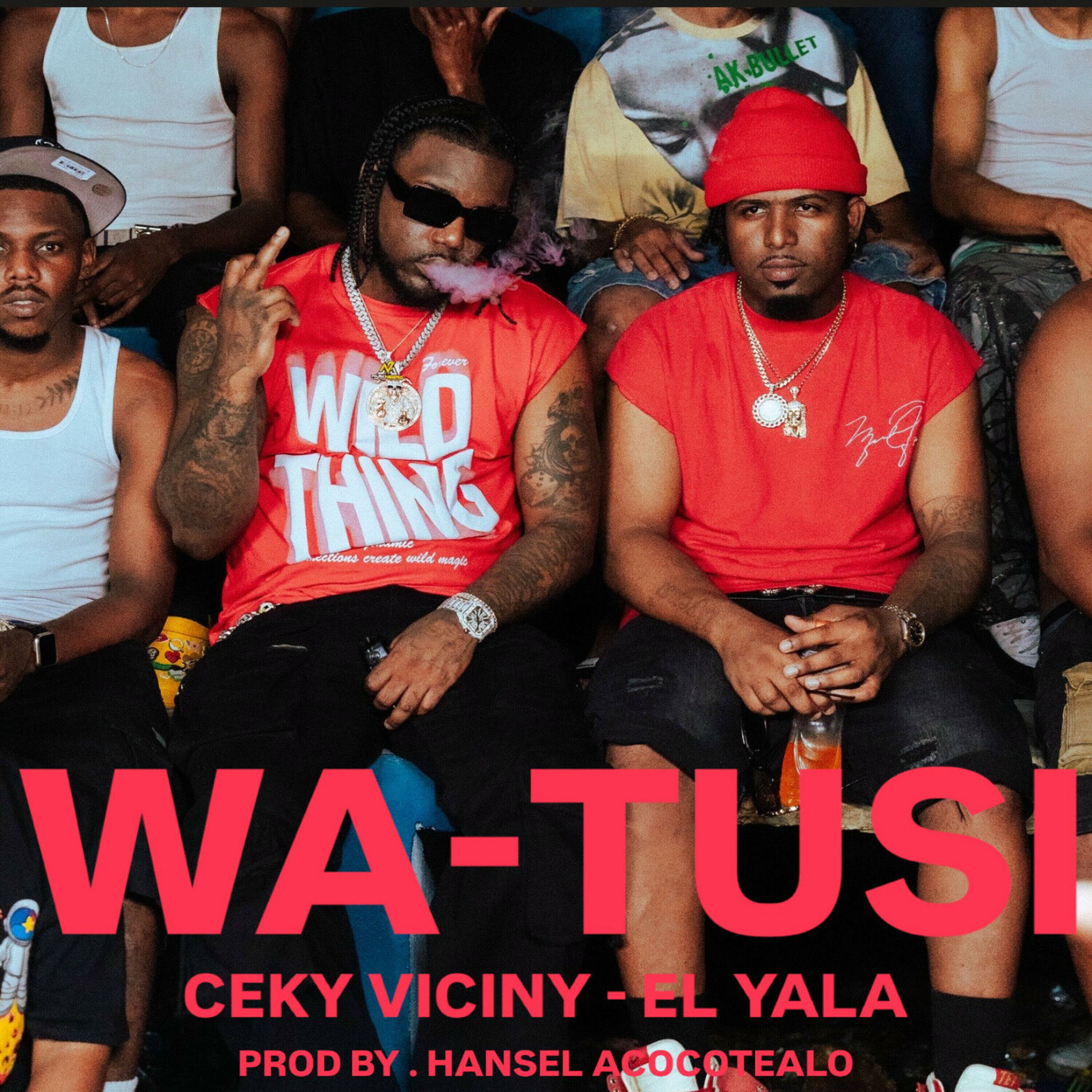 Album cover of WA-TUSI