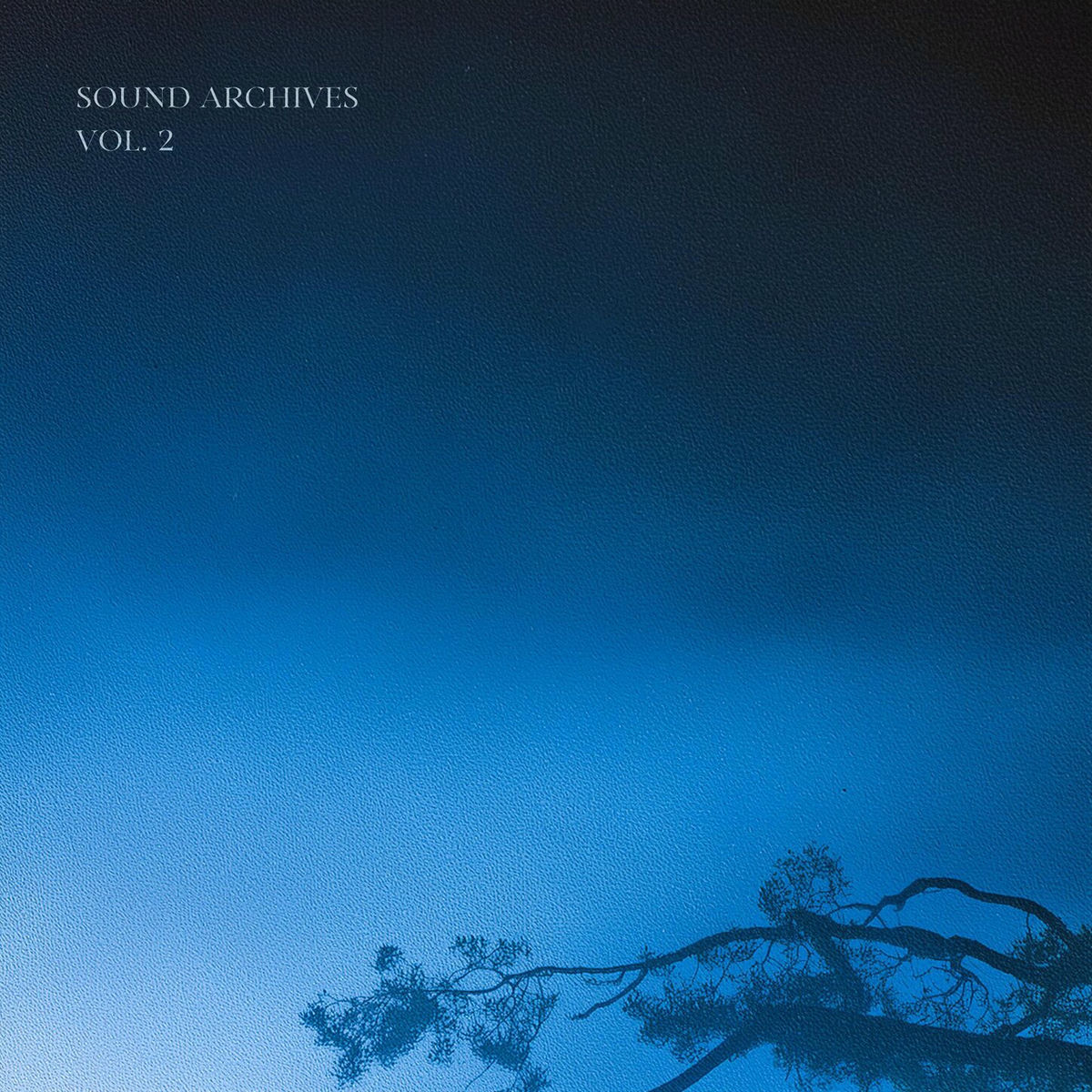 Album cover of Sound Archives Vol. 2