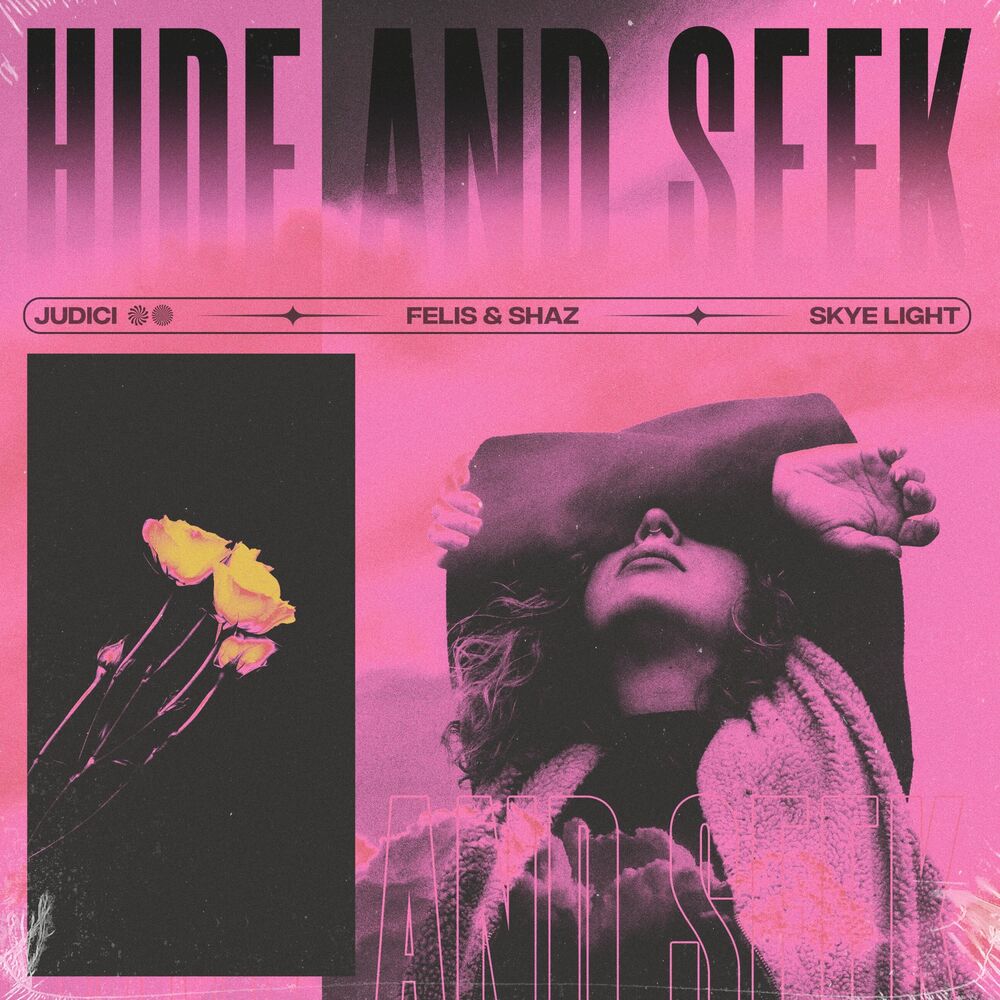 Picture of Hide and Seek