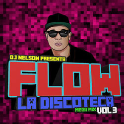 Cover of Flow la Discoteca Mega Mix, Vol.3