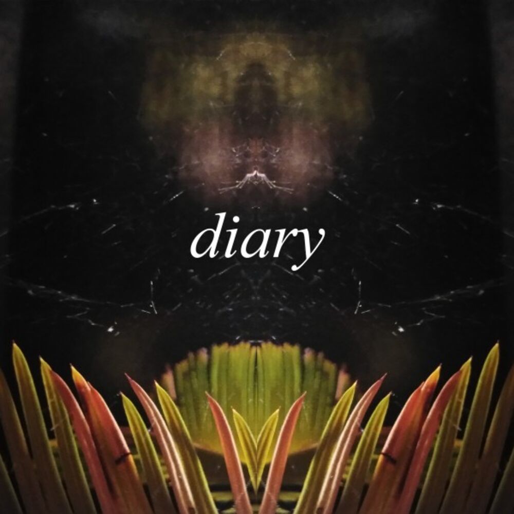 Picture of Diary
