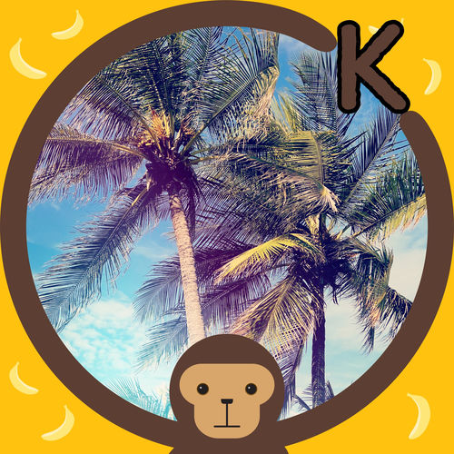 OK (Irreplaceable Remix Version)